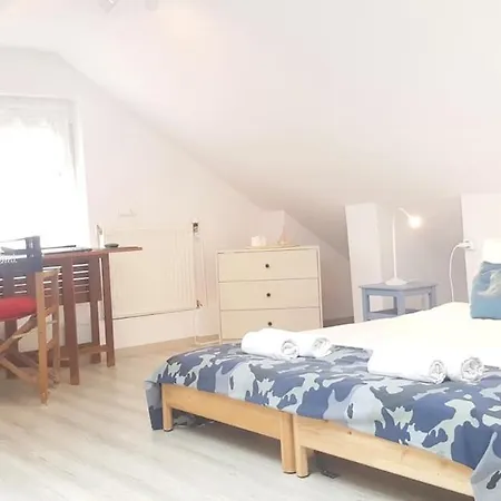 Family Surf 3 Floors Of Fun 8 Min Walk To *