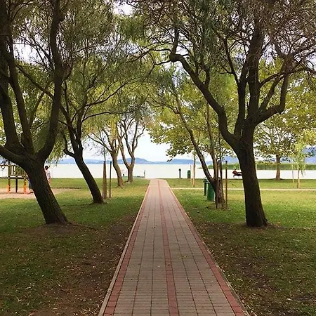 Family Surf 3 Floors Of Fun 8 Min Walk To *