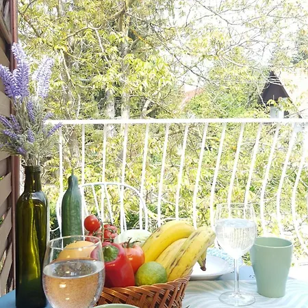 Family Surf 3 Floors Of Fun 8 Min Walk To Балатонфеньвеш